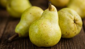 Van Amerongen Kontrollü Atmosfer