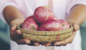 Van Amerongen Uien bewaring